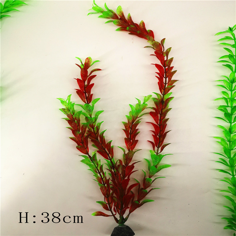 IMG_20190701_103721_副本