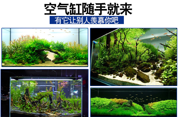 鱼缸水族用_03