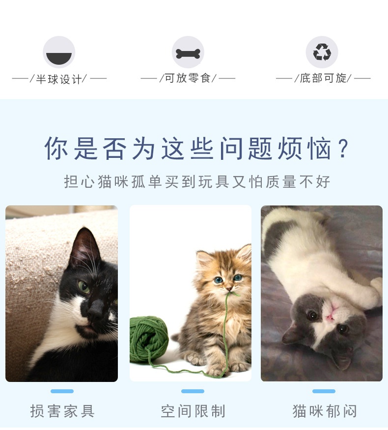 训练玩具 宠物.jpg