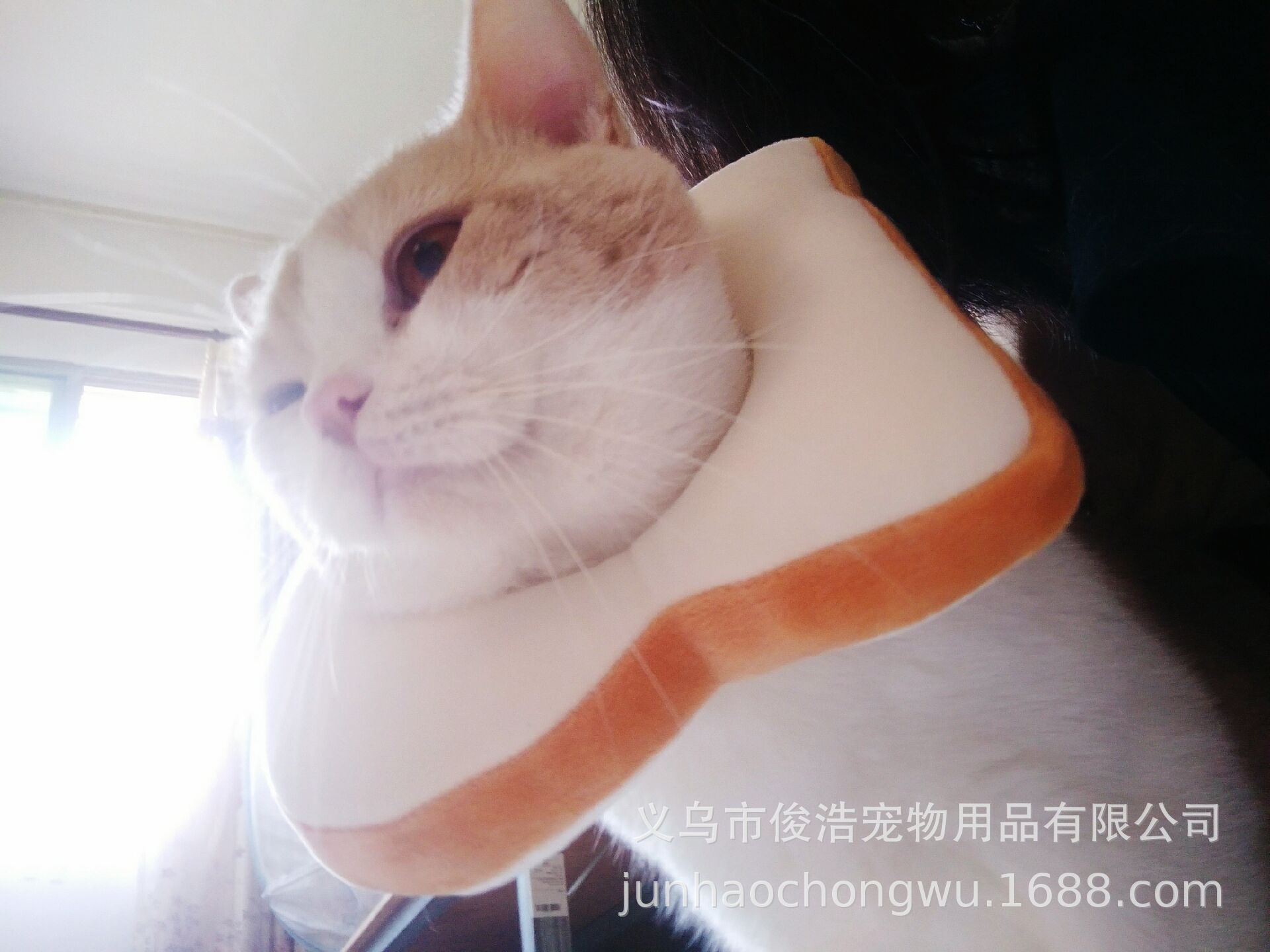 98FB8E8028BDE756D21C31E0E9C3A5