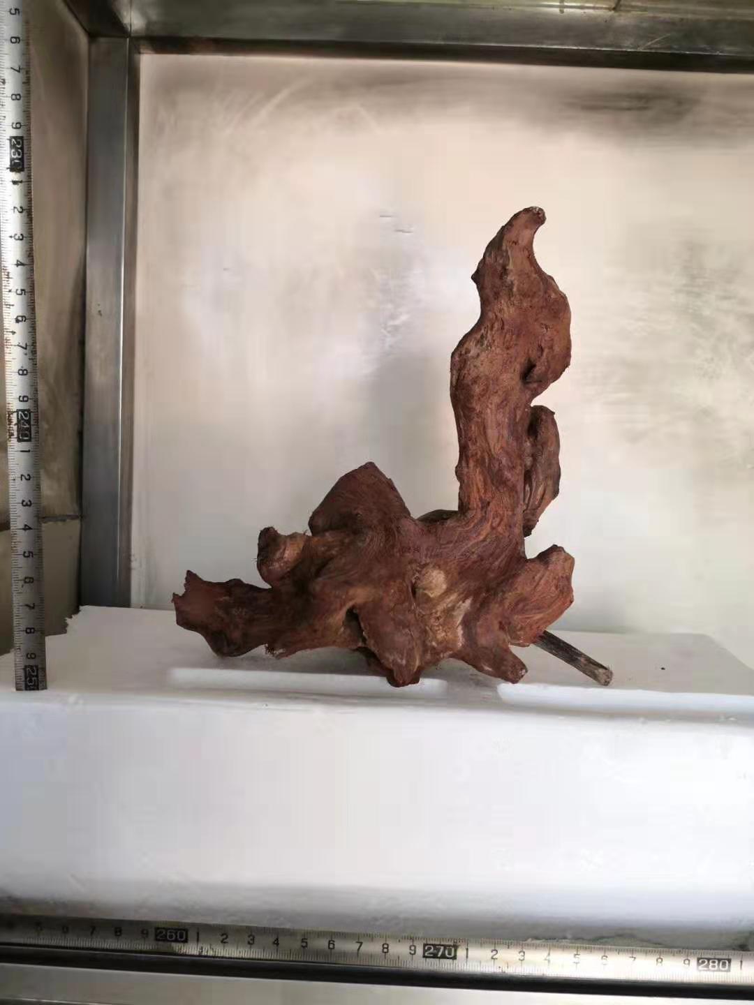 微信图片_20190926112704