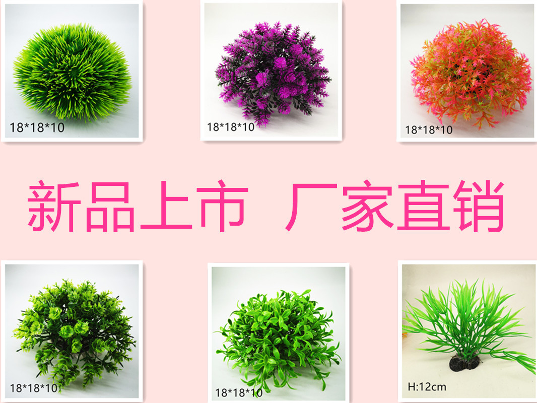 IMG_20190701_110312_副本