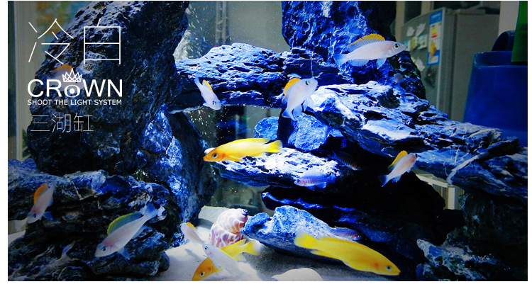 碧水风和射灯详情页 (12).jpg