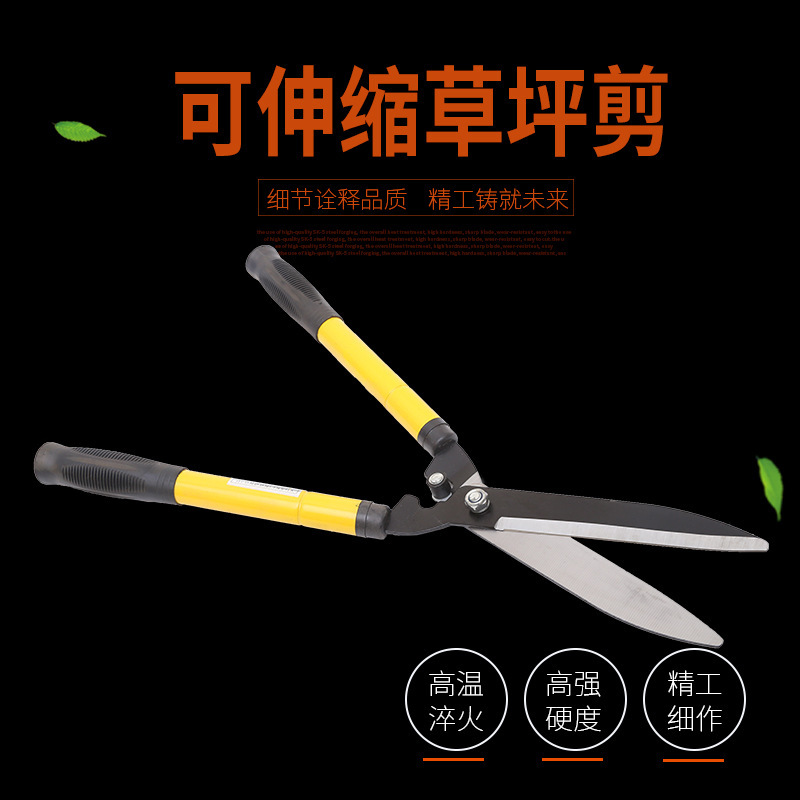 3761424498_1578675911