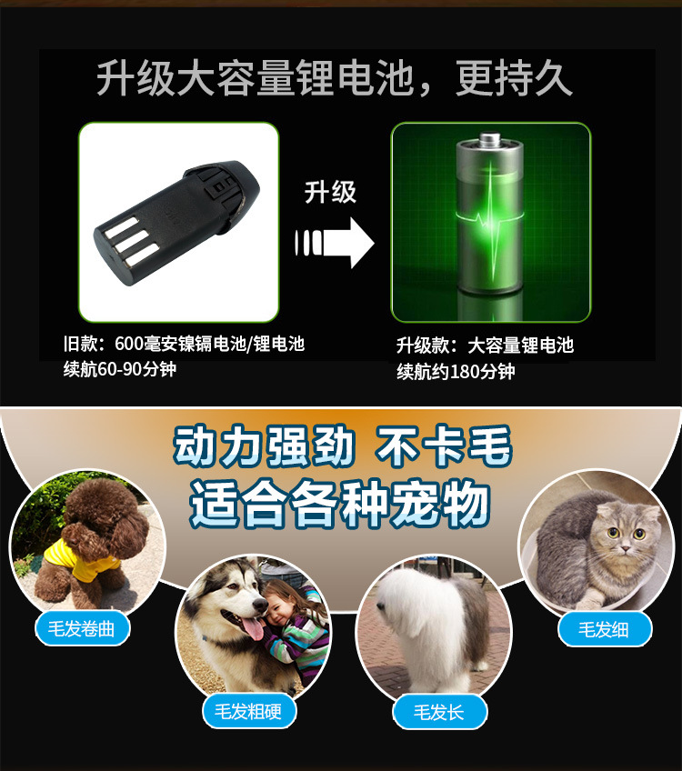 P88宠物款750_02.jpg
