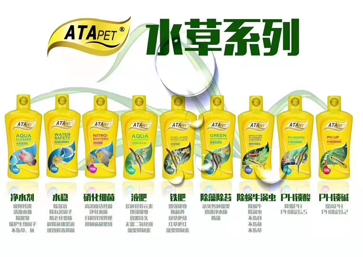 微信图片_20190311173651