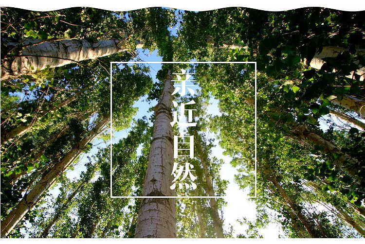 未标题-1_04.jpg