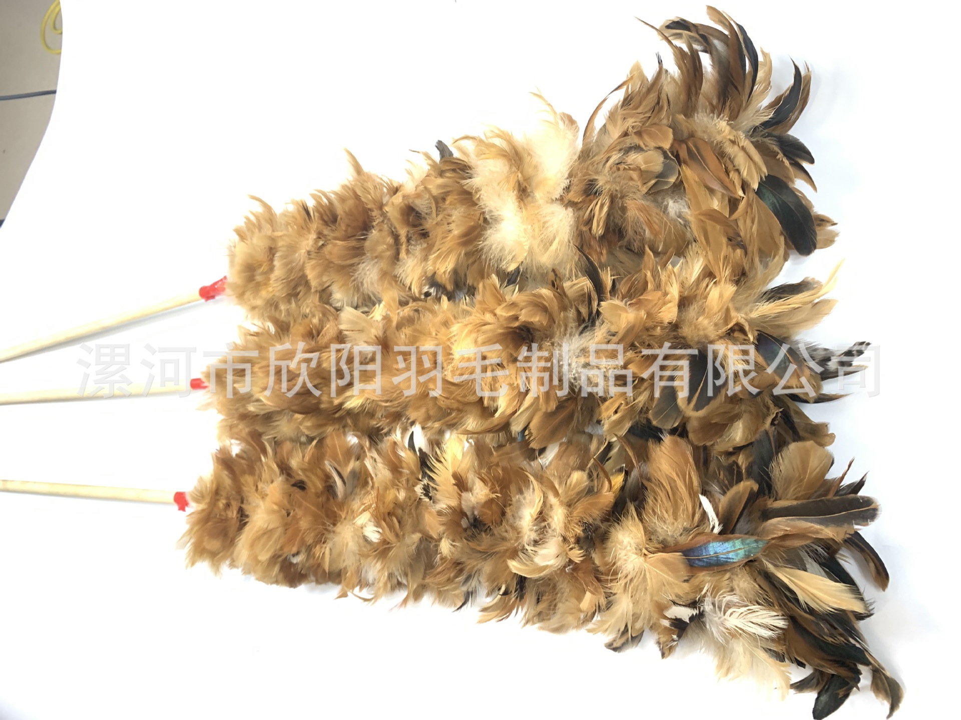 99A14D44FBA35D83F61276782D80D6