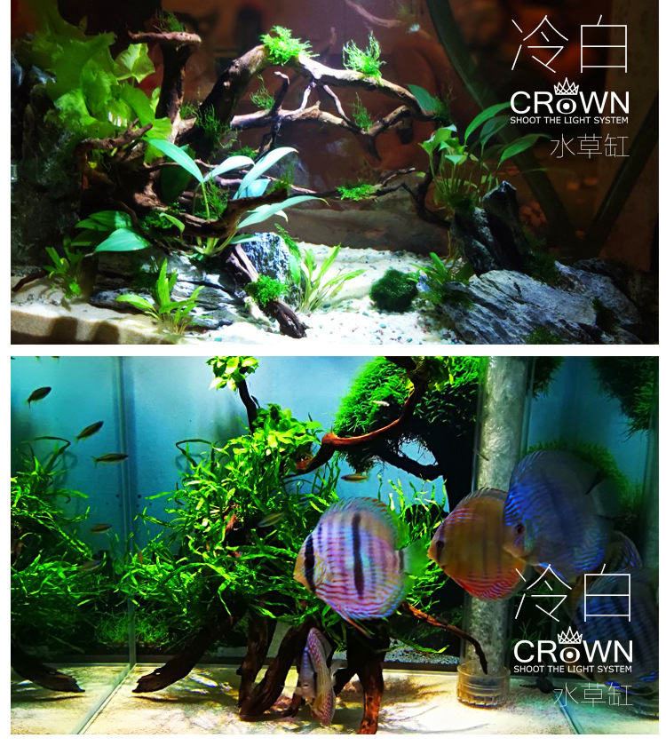 碧水风和射灯详情页 (11).jpg