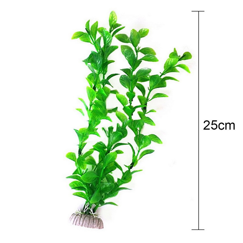 胖圆叶25cm绿色5