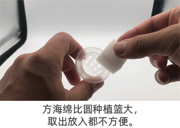 圆定植篮装海绵1.gif