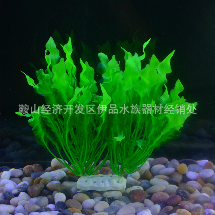 TB24FSUtJ0opuFjSZFxXXaDNVXa_!!