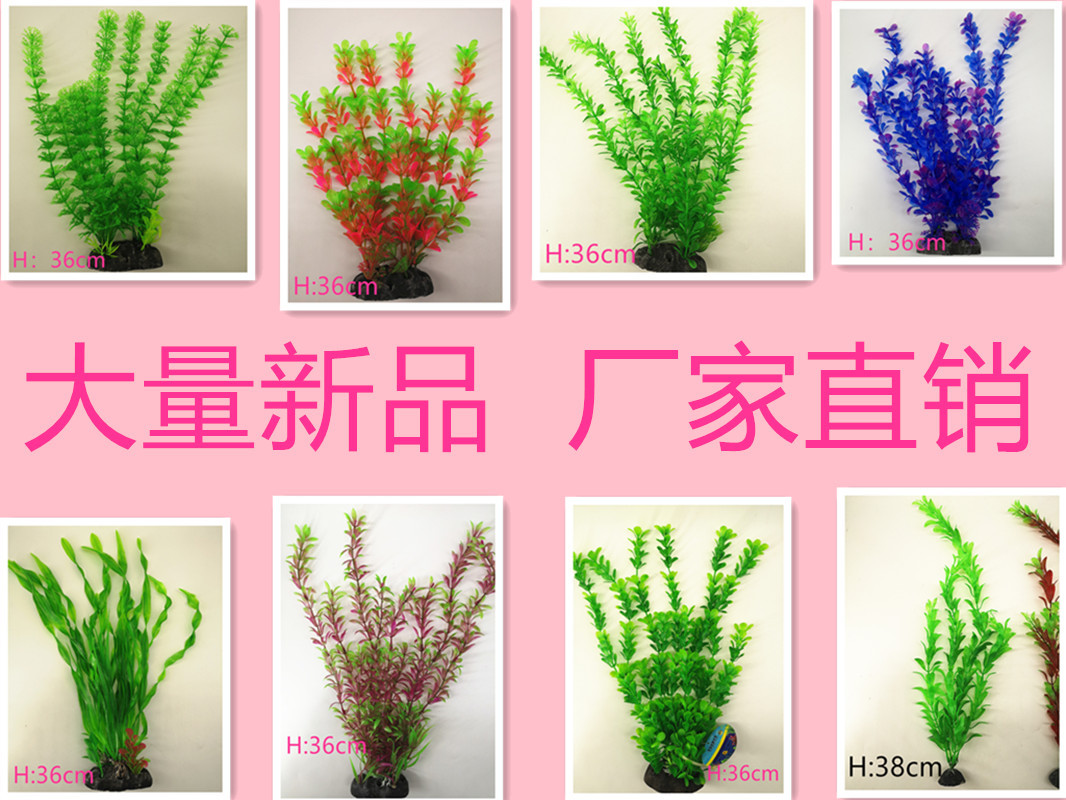 IMG_20190701_103738_副本