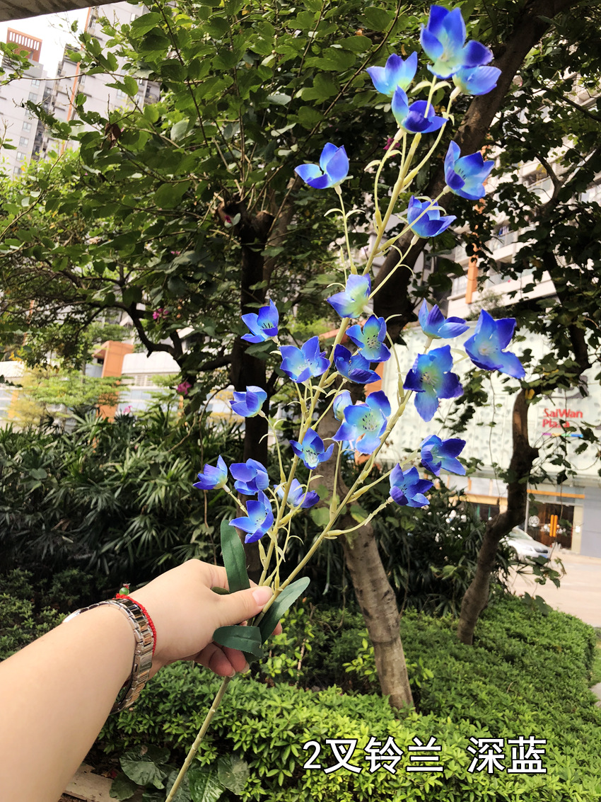 微信图片_20190322152347