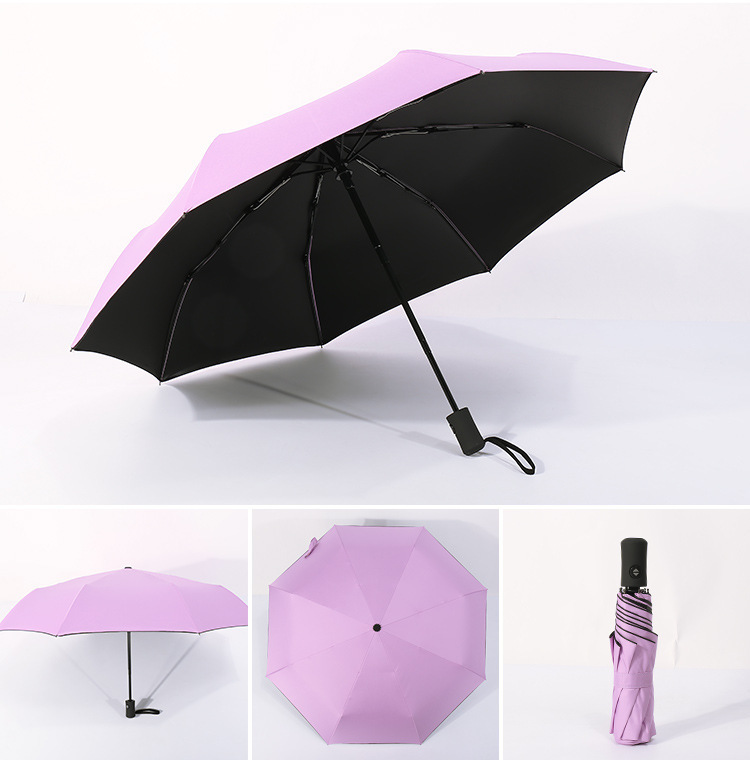 10907802835_892876578