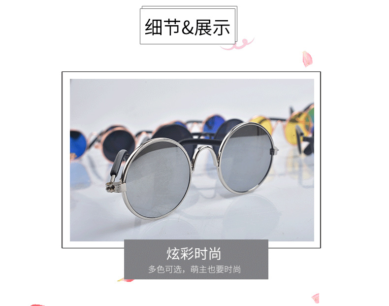 宠物眼镜详情图_09.png