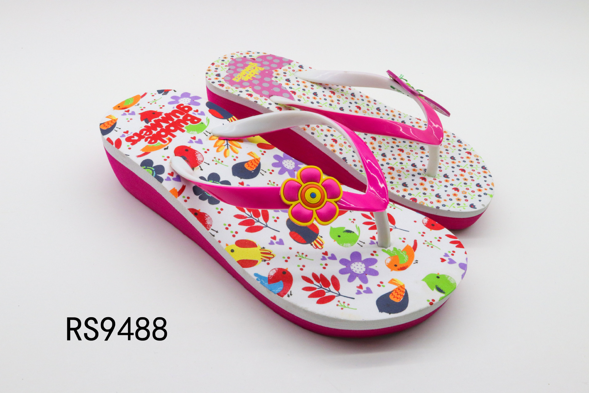 RS9488-2