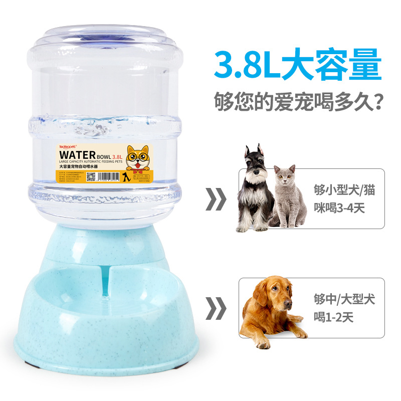 宠物碗 狗碗猫碗