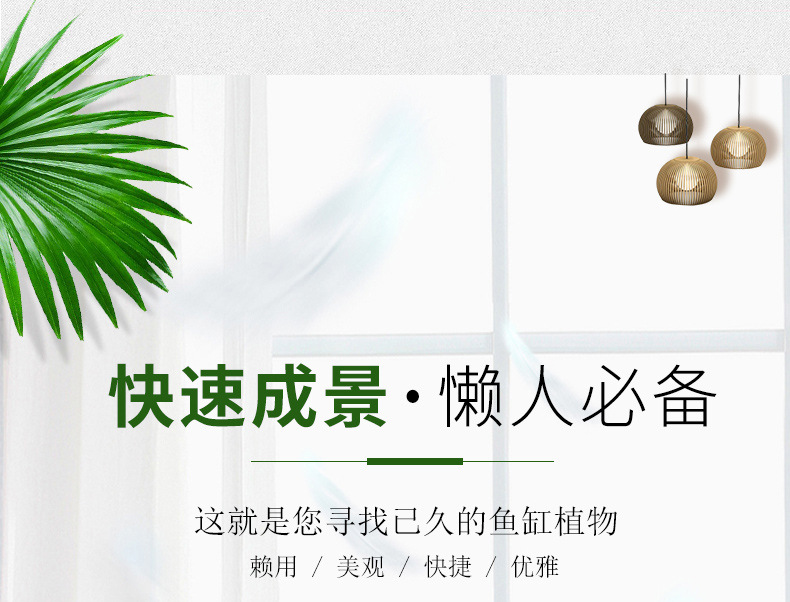 O1CN018Gs7BG1Hr1IIHvUDL_!!5080