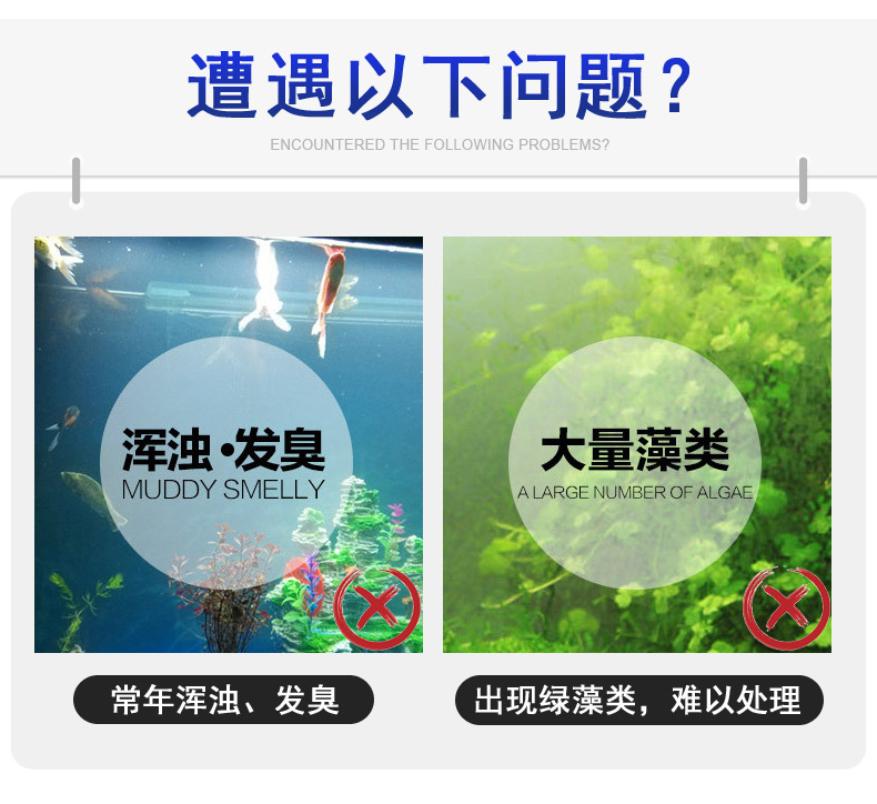 3 问题
