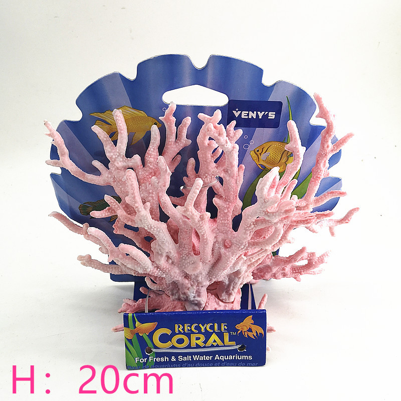 IMG_20191002_115404_副本