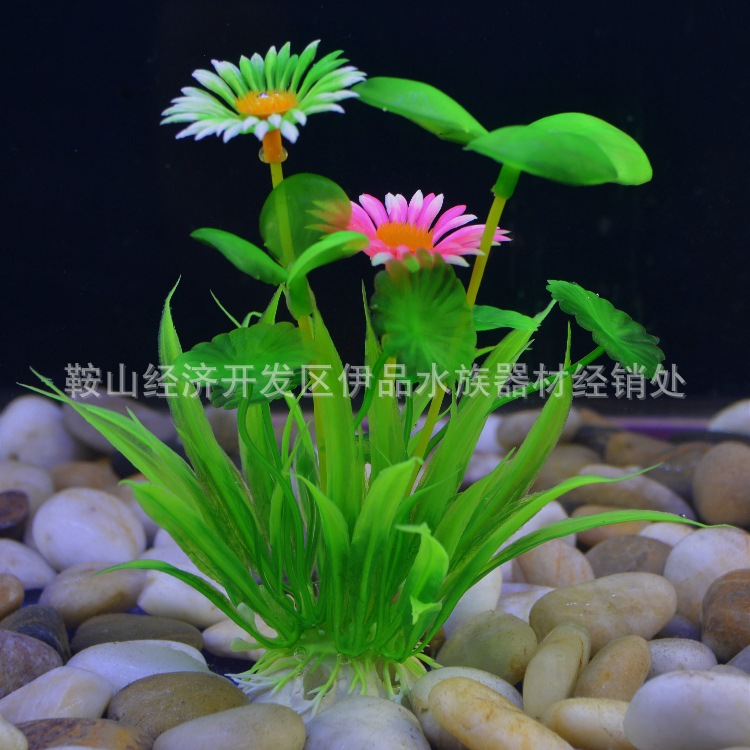 O1CN01pTcYRK1KVtvskukIx_!!1035