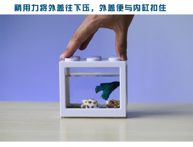 斗鱼缸_描述_17.jpg