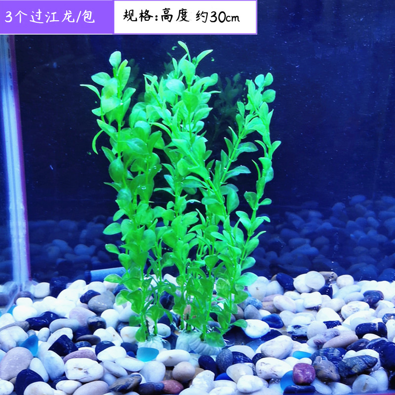 3节过江龙绿色3个组