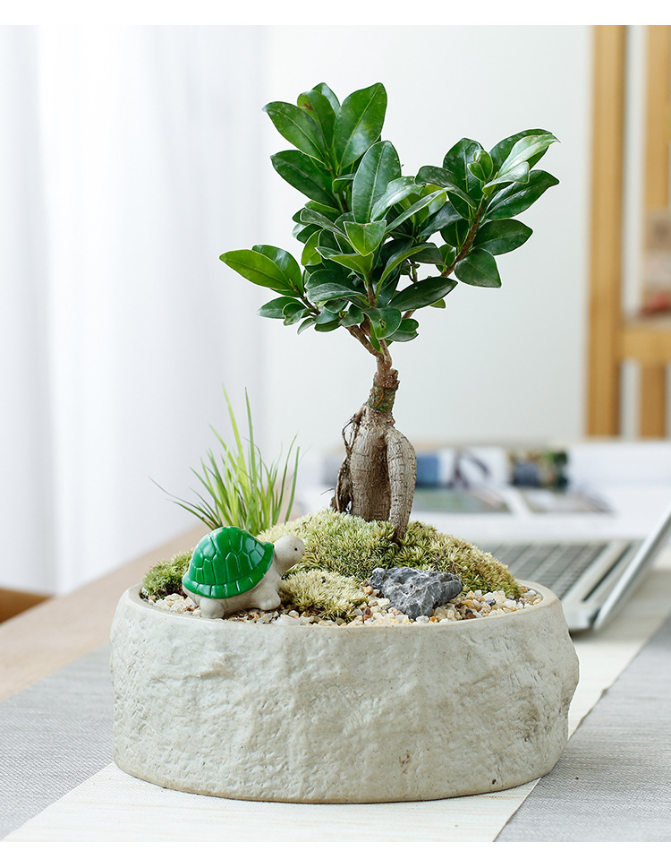 粗陶花盆4_09.jpg