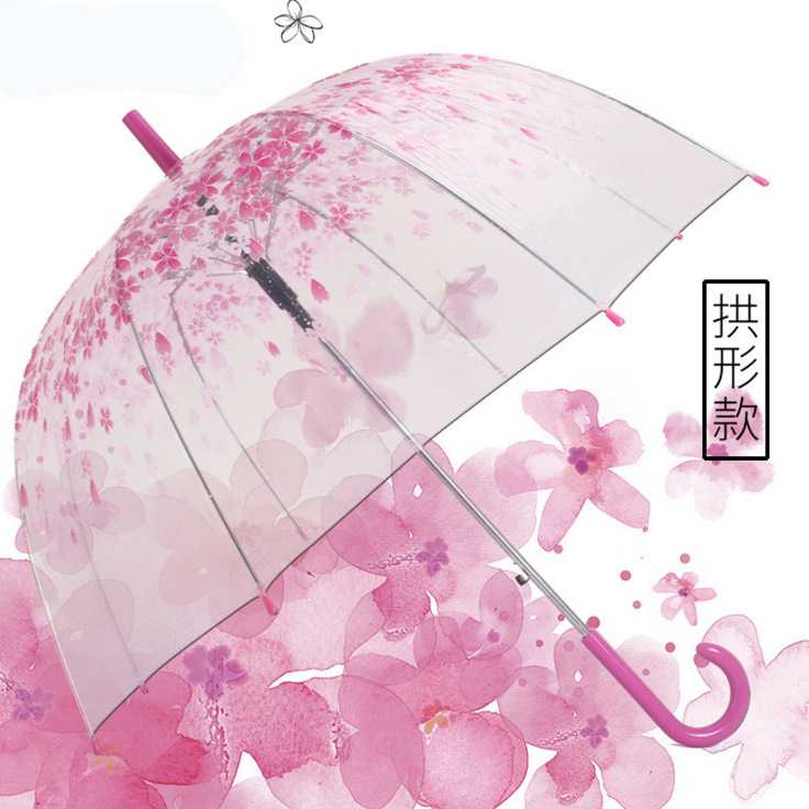 韩国日本樱花加厚透明雨伞长柄萌动漫雨伞可爱折叠清新