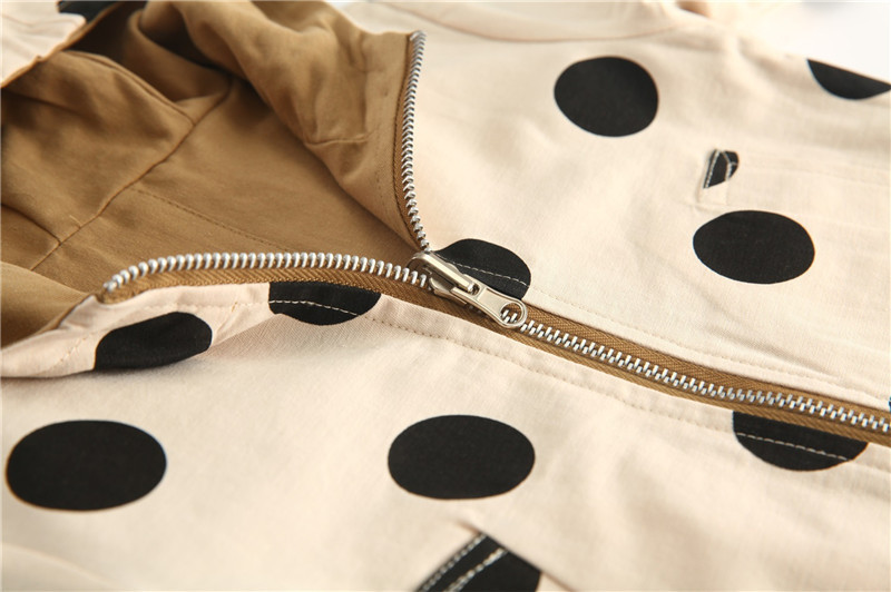 11030737907_1988082630