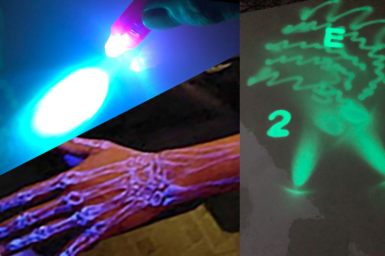 12508025831_2063210766