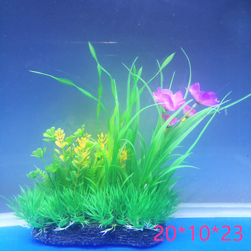 IMG_20190630_162413_副本