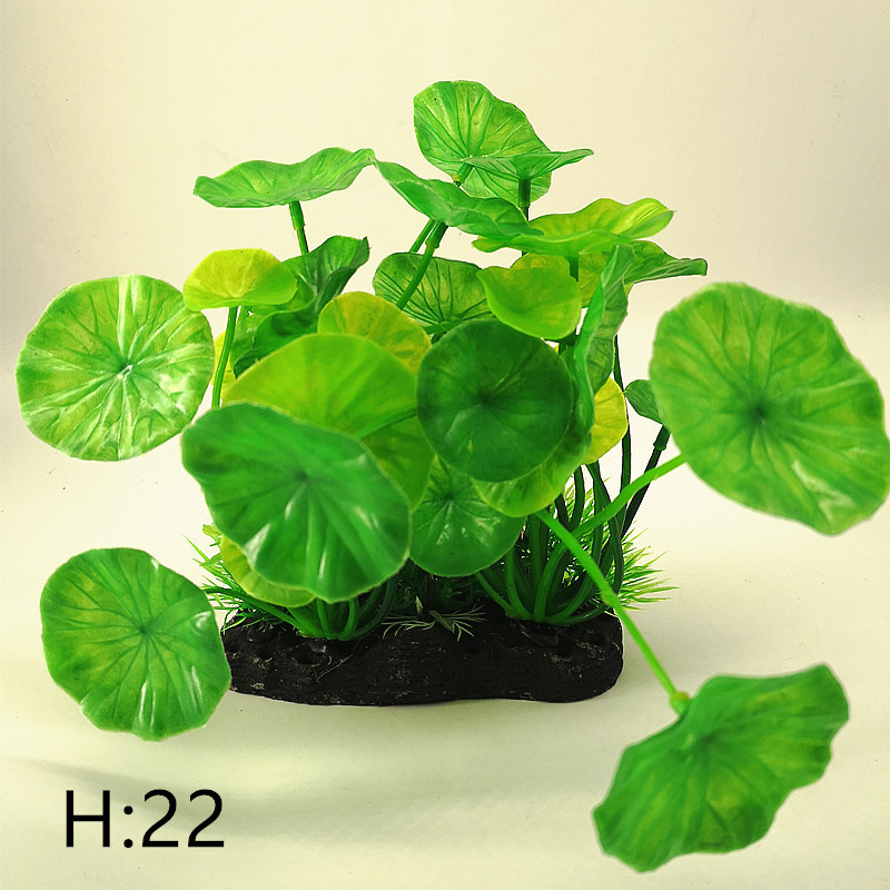 IMG_20190701_161502_副本