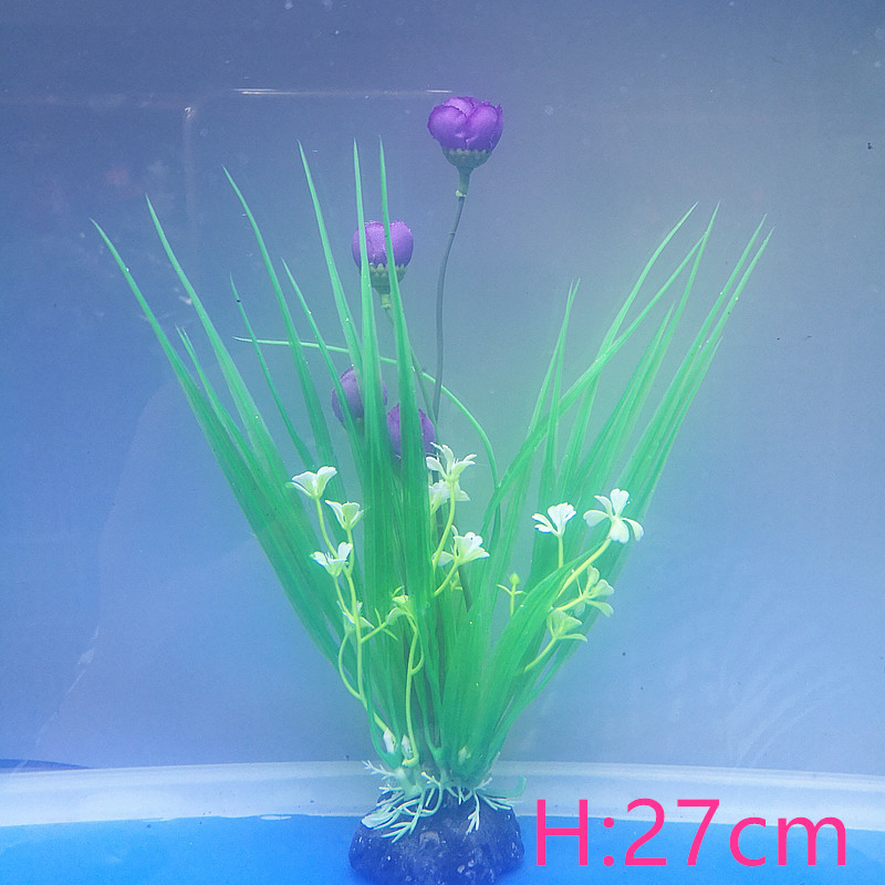 IMG_20190701_093413_副本