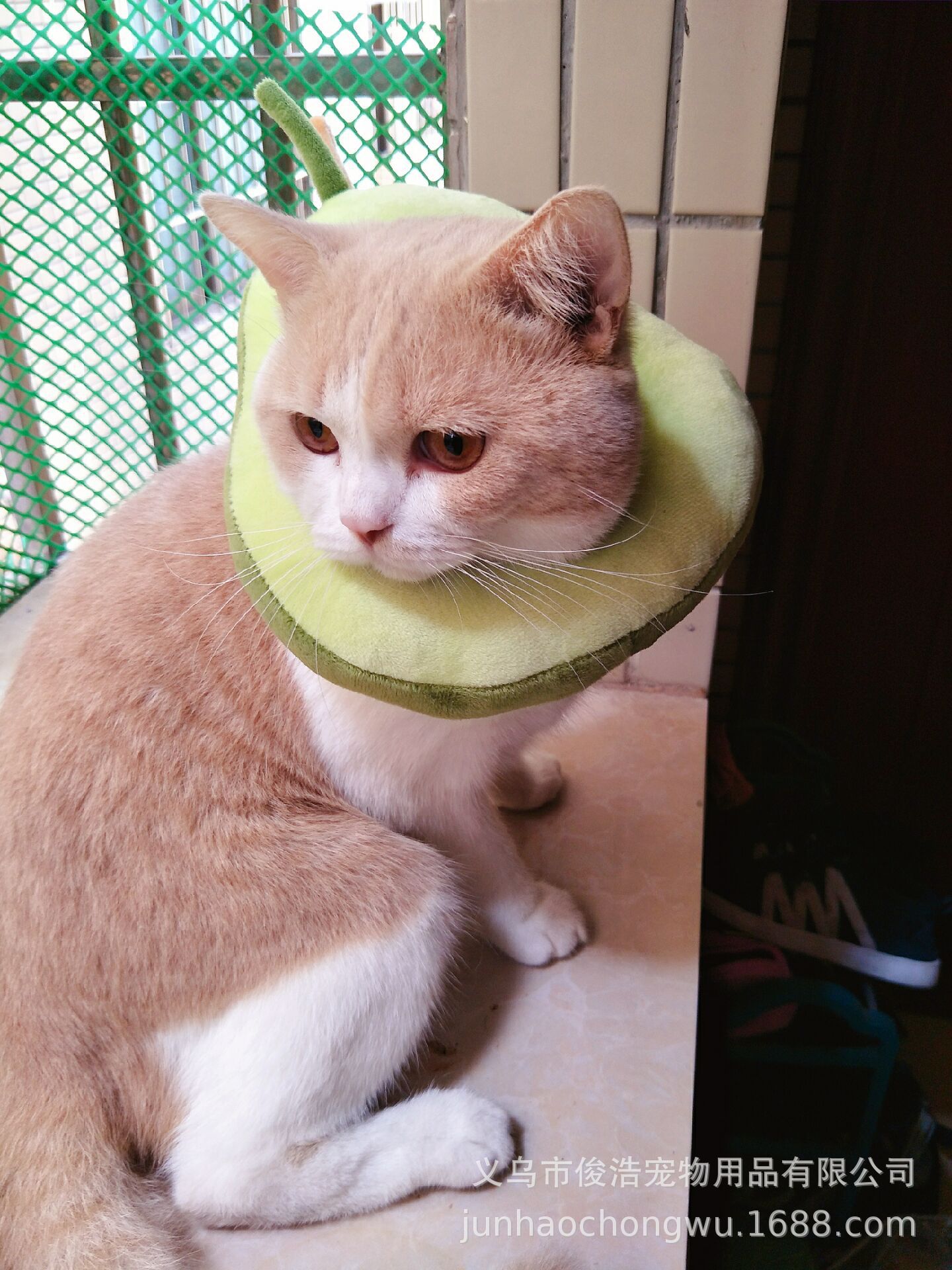 4FB20DC987729291977CC0E8DCF252