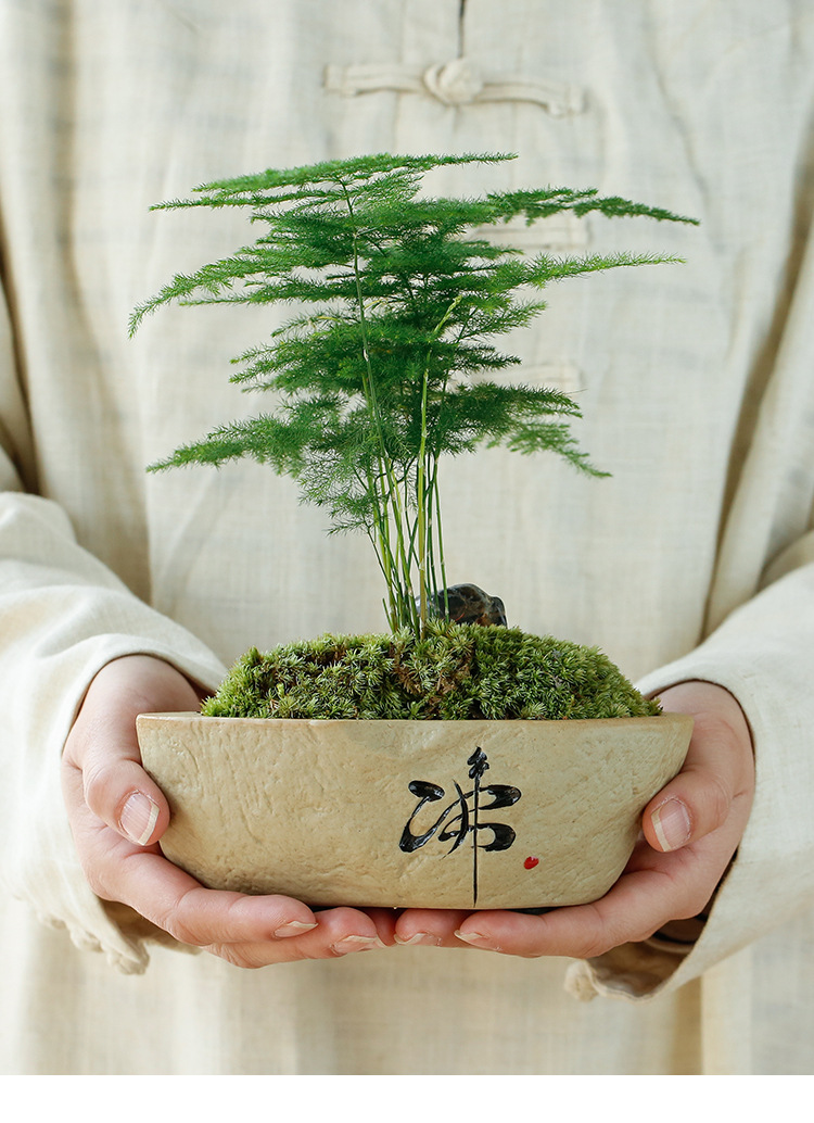 粗陶花盆_14.jpg