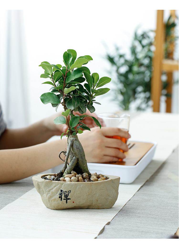 粗陶花盆_03.jpg