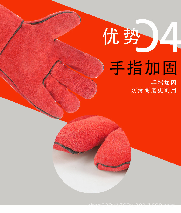 12523635390_881126482