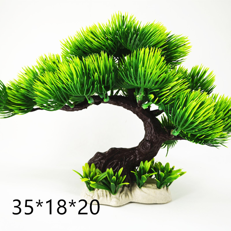 IMG_20190528_144444_副本