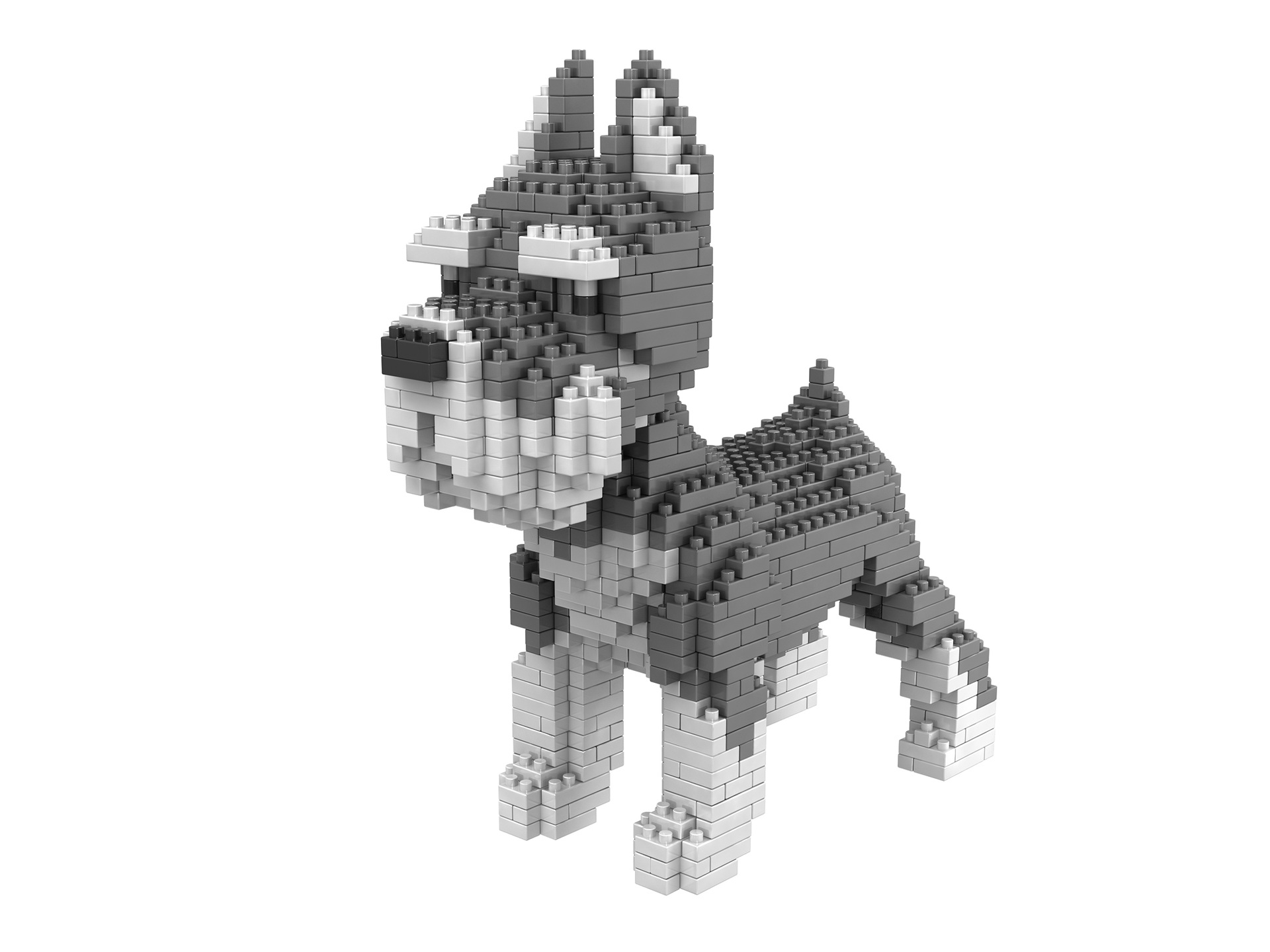 狗 2 2-1 副本.jpg