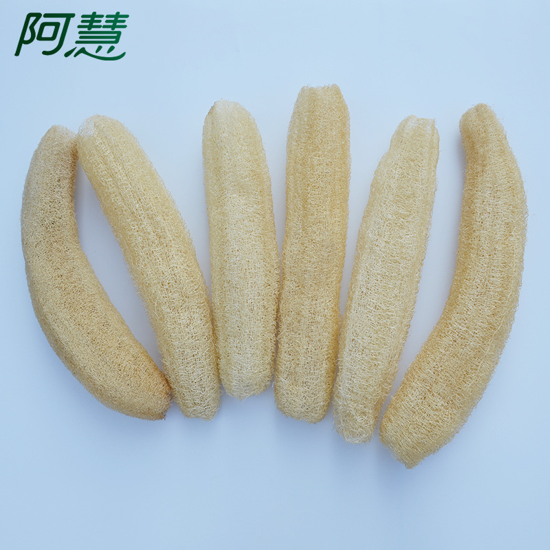 小丝瓜-4.jpg