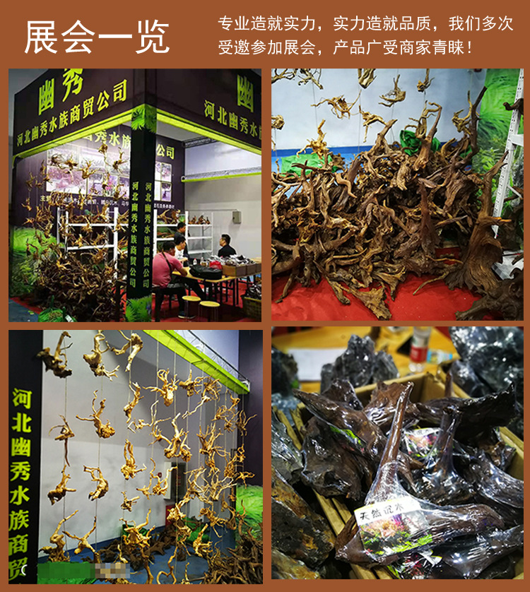 小沉木景观造景天然素材展会图
