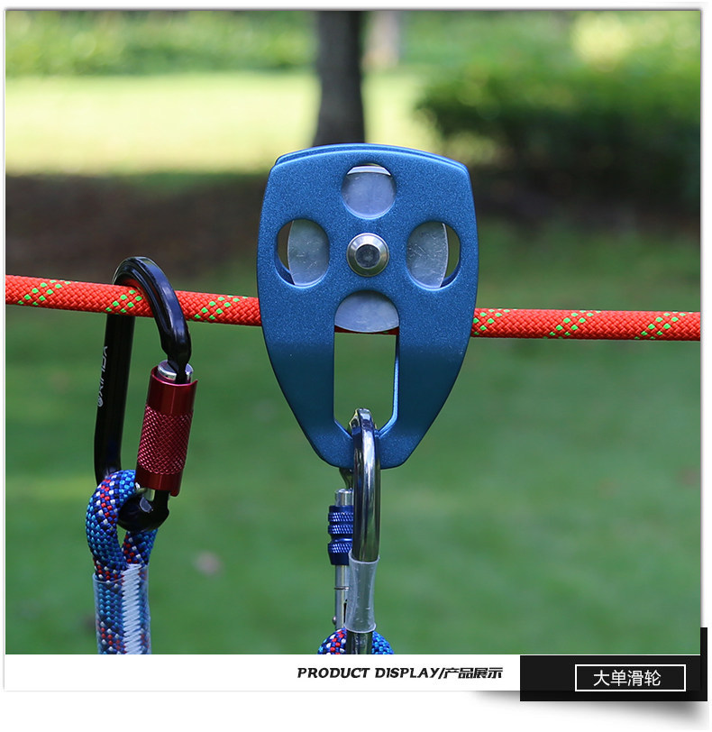 2345_image_file_copy_73.jpg