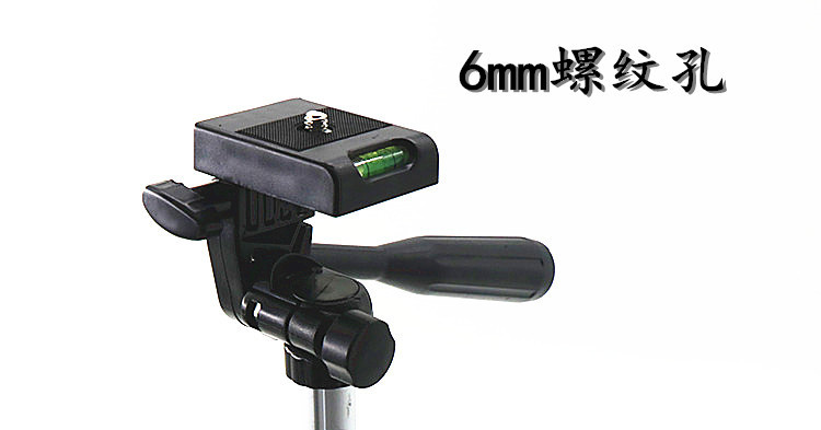 IMG_2193_副本_副本