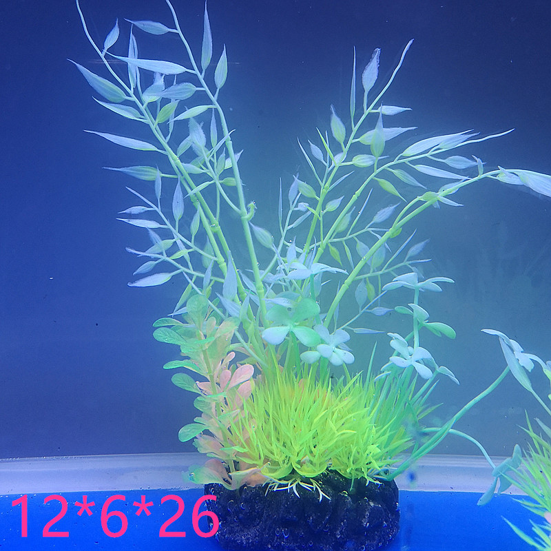 IMG_20190630_162124_副本