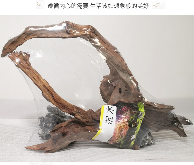 x_小沉木景观造景天然素材