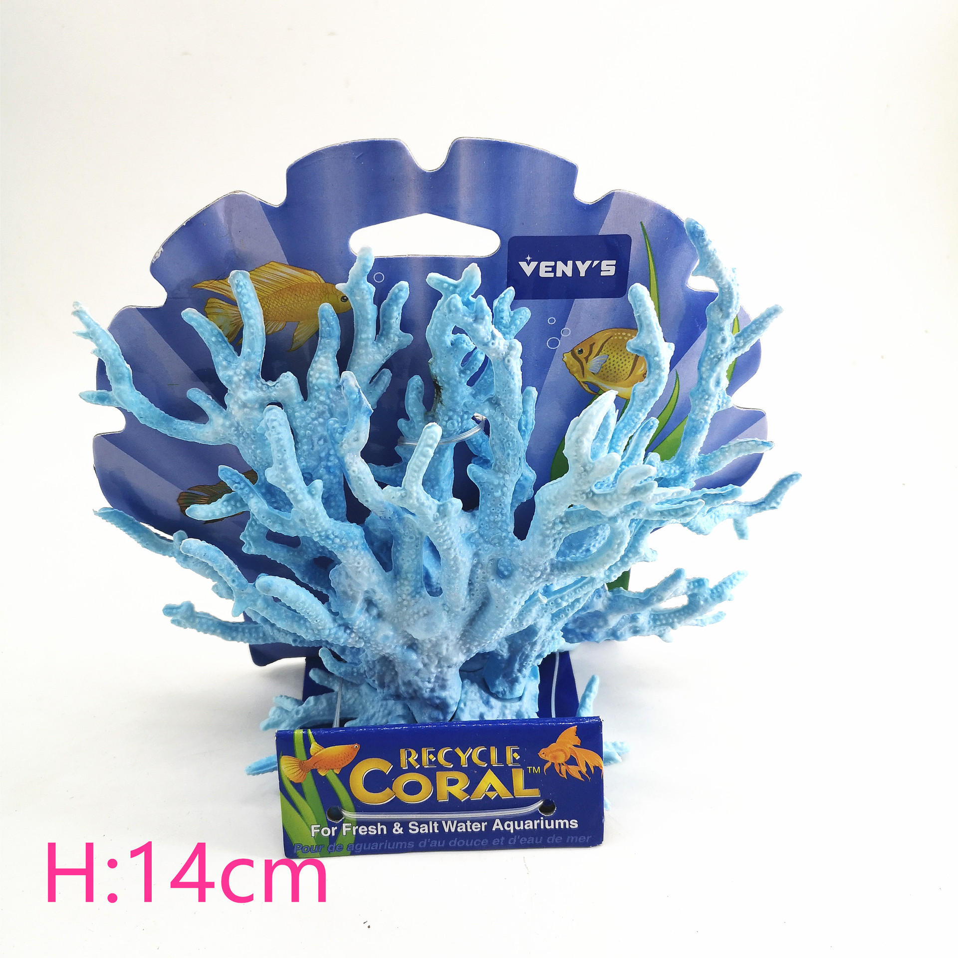 IMG_20191002_115413_副本