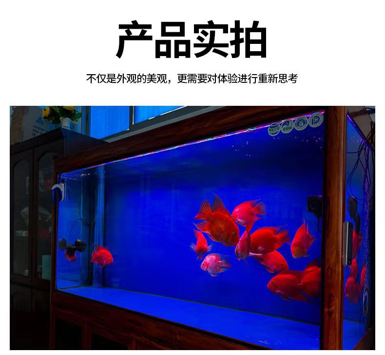 242cbf593c845b0c3ed90733e78e4e