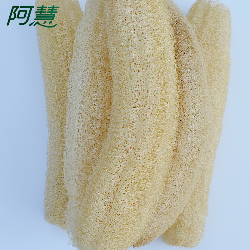 小丝瓜-3.jpg